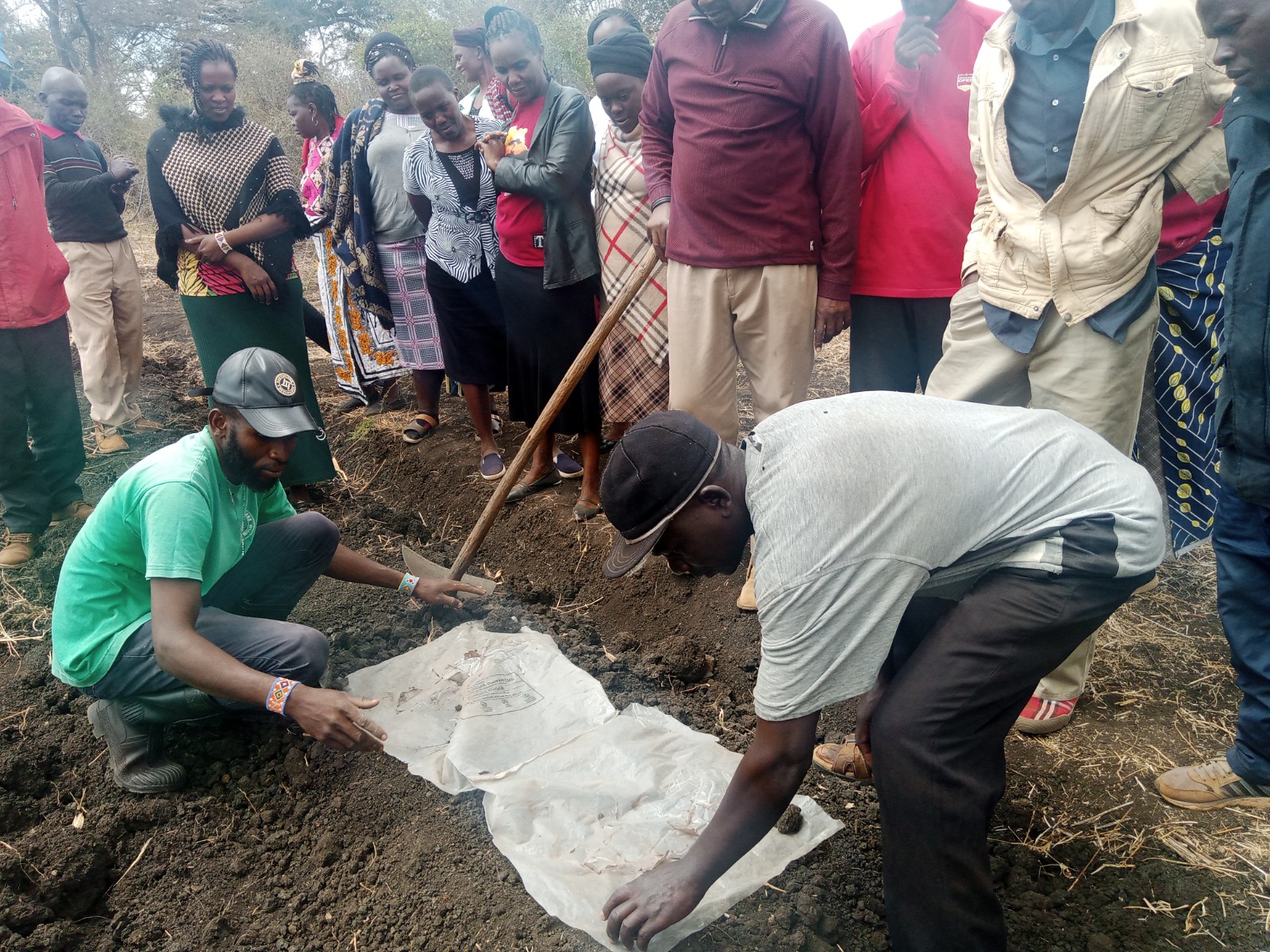 Farmers observing a hands-on soil and planting demonstration